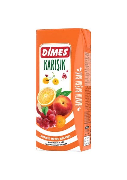 Karışık Nektarı 27 x 200 ml ( 1 Koli )