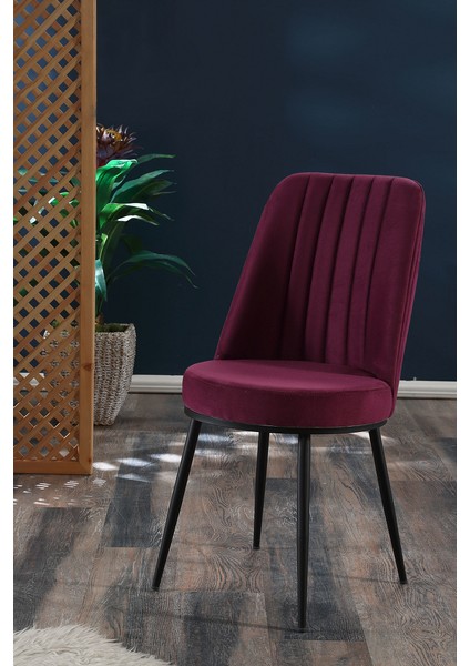 - Gold Sandalye - 11 Renk Kumaş - Metal Siyah Ayak