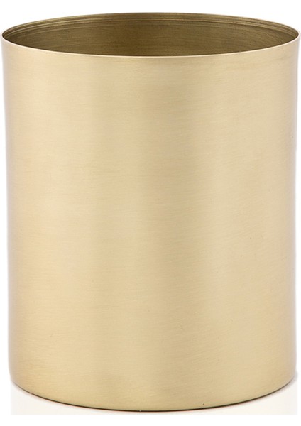 Pirinç Dekoratif Sukulent Kaktüs Saksı Madrid Büyük Boy