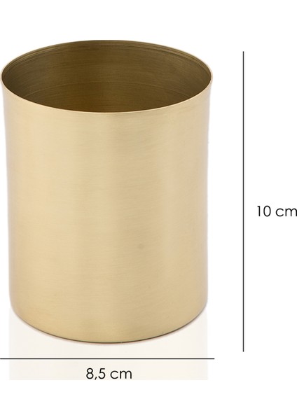 Pirinç Dekoratif Sukulent Kaktüs Saksı Madrid Büyük Boy fiyatları