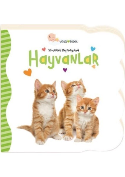 Hayvanlar - Sözcükleri Keşfediyorum