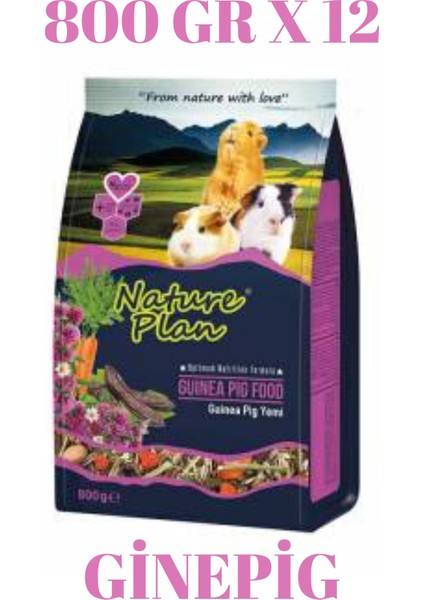 Nature Plan Ginepig Yemi 800 gr x 12 Adet