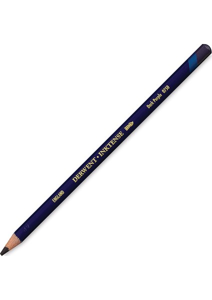 Inktense Mürekkep Bazlı Suluboya Kalem Yedeği Dark Purple 0750
