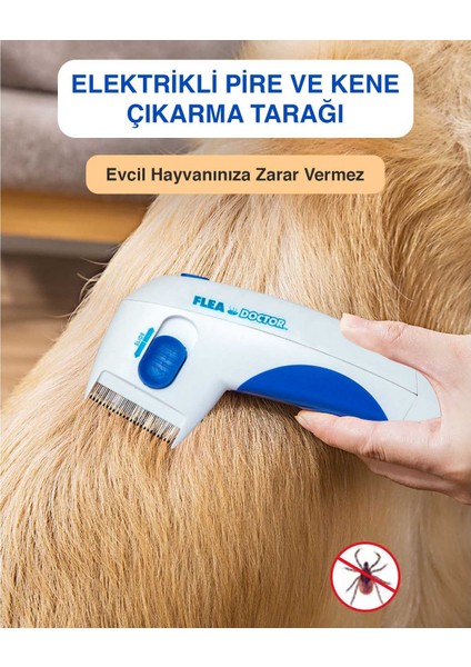 Als Flea Doctor Pilli Pire Tarağı