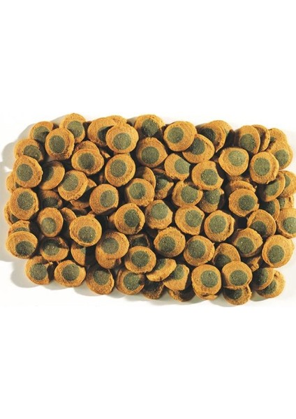 Pleco Spirulina Algae Wafers 500 Gram Açık