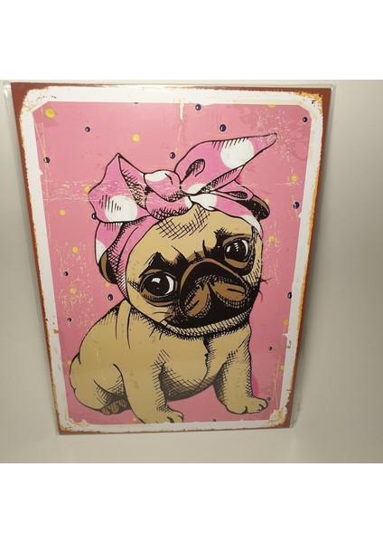 Köpek Ahşap Poster