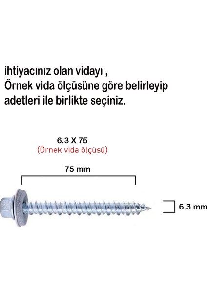 6,3x75 Betofast Vida 100 'lü