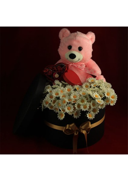 Mega boy Kutu Dolusu Papatya & Ayıcık Papatya Kolye Led Işıklı Kutu