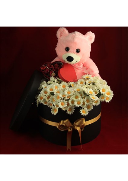 Mega boy Kutu Dolusu Papatya & Ayıcık Papatya Kolye Led Işıklı Kutu fiyatları