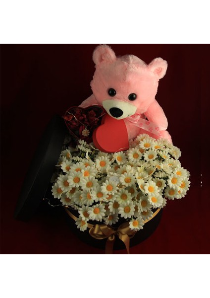 Mega boy Kutu Dolusu Papatya & Ayıcık Papatya Kolye Led Işıklı Kutu modelleri