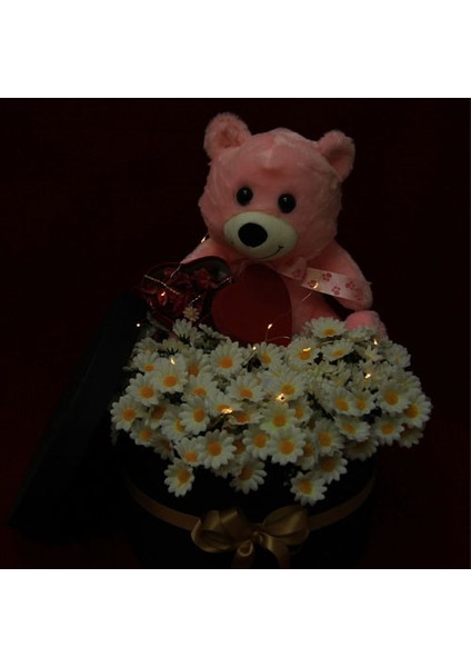 Mega boy Kutu Dolusu Papatya & Ayıcık Papatya Kolye Led Işıklı Kutu fırsatları