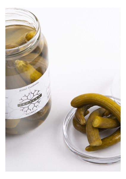 Hatay Kıtte Turşusu 550 gr