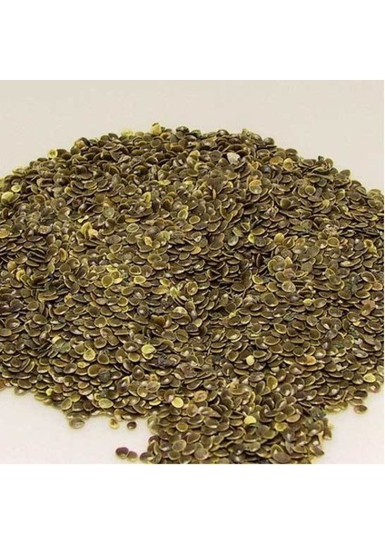 Benimaktar Isırgan Tohumu Ilaçlık 1 kg fiyatları