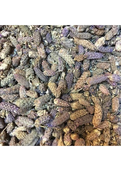 Benimaktar Karabaş Otu Yeni Mahsül 250 gr fiyatları