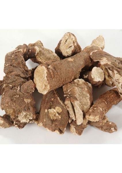 Benimaktar Çöven Kökü 500 gr fiyatları