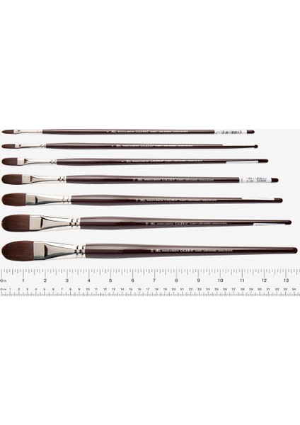 : Galeria : Uzun Sap Kedi Dili Fırça No : 8 modelleri