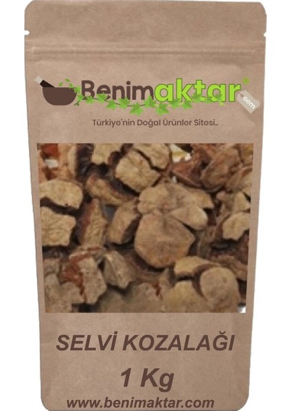 Benimaktar Servi Selvi Kozalağı Yeni Mahsül 1 kg