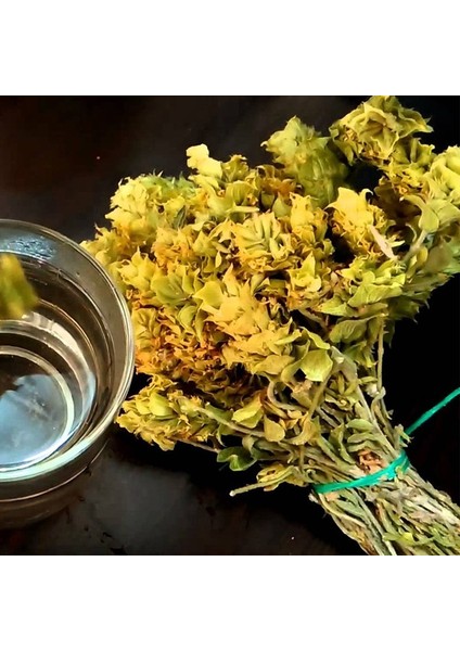 Benimaktar Anamur Cinsi Ada Çayı Demet