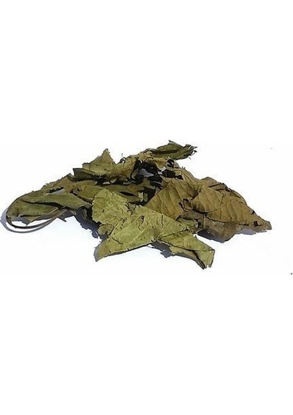 Ceviz Yaprağı 100 gr