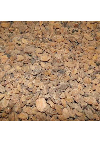 Benimaktar Tane Salep Sahlep 250 gr