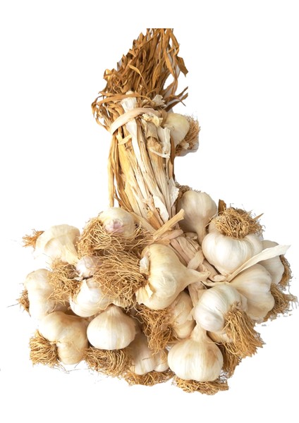 Akbak Kastamonu Sarımsak - 1 kg