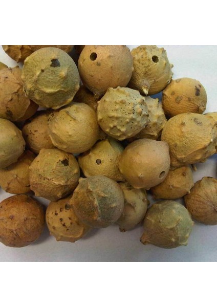 Benimaktar Mazı 250 gr fiyatları