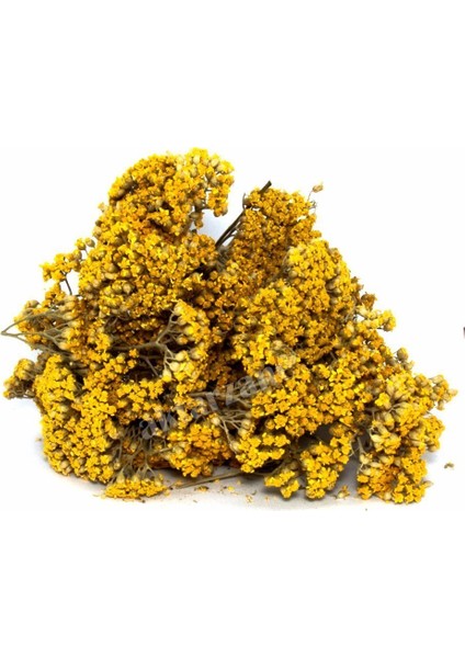 Benimaktar Civan Perçemi 1 kg fiyatları