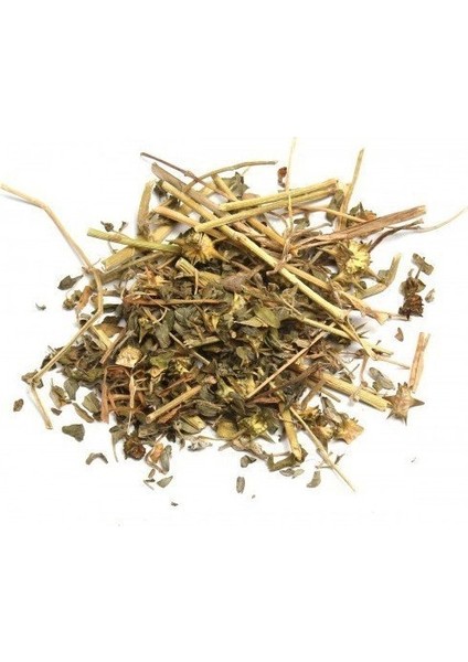 Benimaktar Çoban Çökerten Otu 1 kg fiyatları