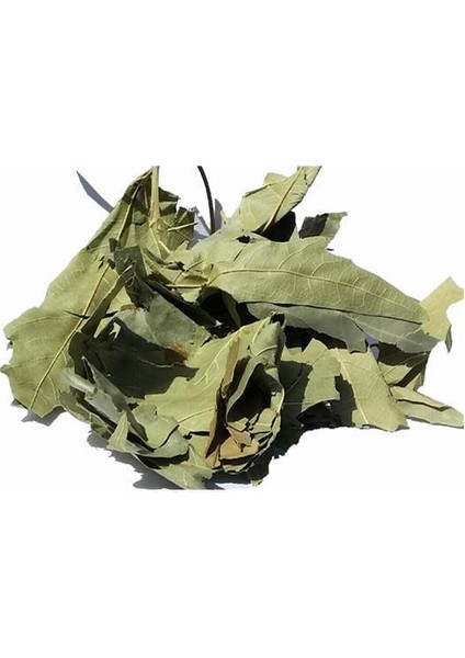 Benimaktar Çınar Yaprağı 100 gr fiyatları