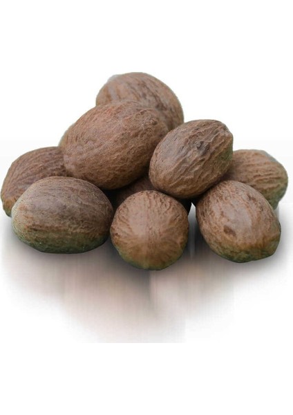 Benimaktar Muskat Küçük Hindistan Cevizi Hint Cevizi Temiz Ürün 1 kg fiyatları