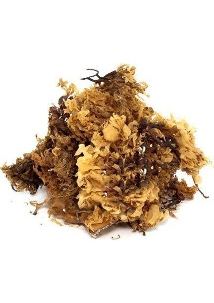 Benimaktar Deniz Kadayıfı 100 gr fiyatları