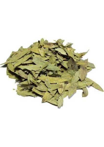 Benimaktar Sinameki Yaprağı Yeni Mahsül 500 gr fiyatları
