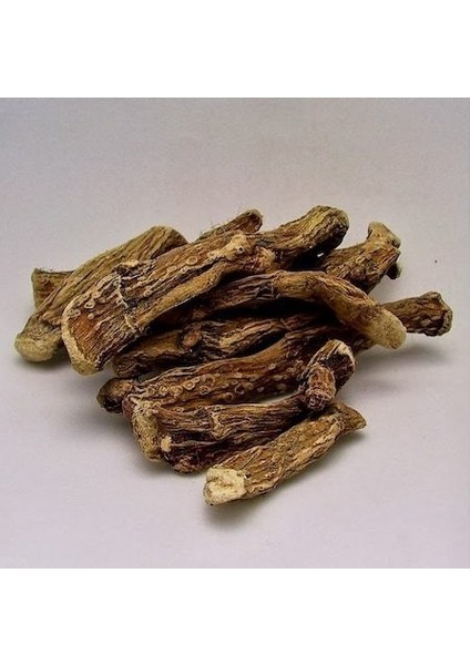 Benimaktar Ravent Kökü 500 gr fiyatları