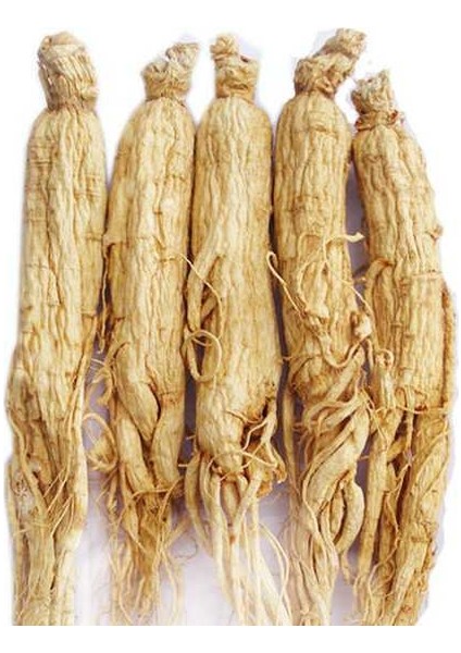 Benimaktar Ginseng ( Adam Otu ) 1 kg