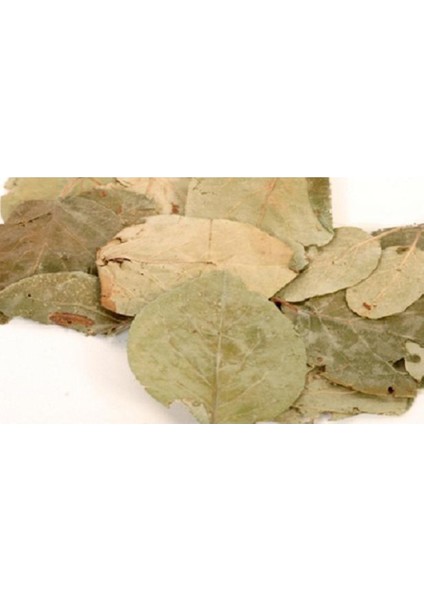 Benimaktar Ayva Yaprağı 1 kg fiyatları