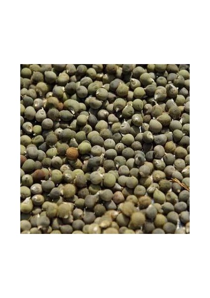 Benimaktar Ilaçlık Bamya Tohumu 500 gr