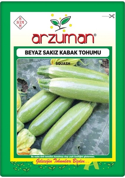 Kabak Tohumu Beyaz Sakız Kabak (10 gr)