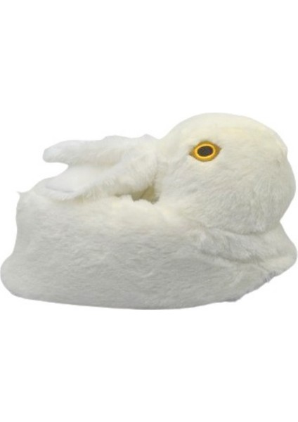 Tavşanlı Kadın Panduf fiyatları