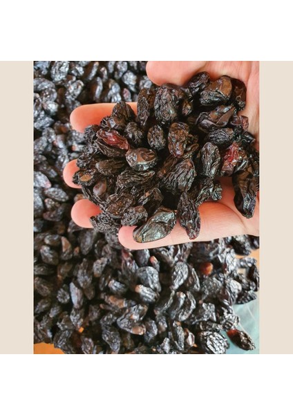 Kuru Üzüm 1 kg fiyatları