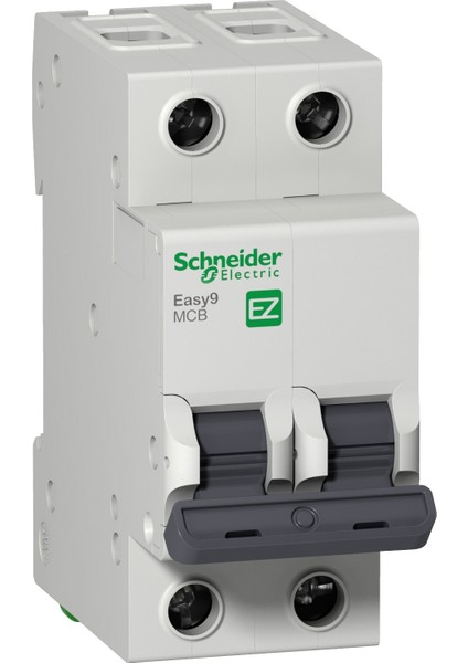 2X16A C Otomat Sigorta 6ka Schneider EZ9F56216