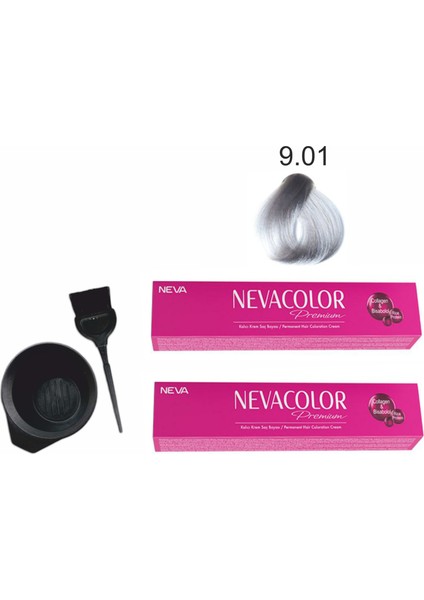 Color Tüp Boya 9.01 Gümüş 50 ml x 2'li + Boyama Seti