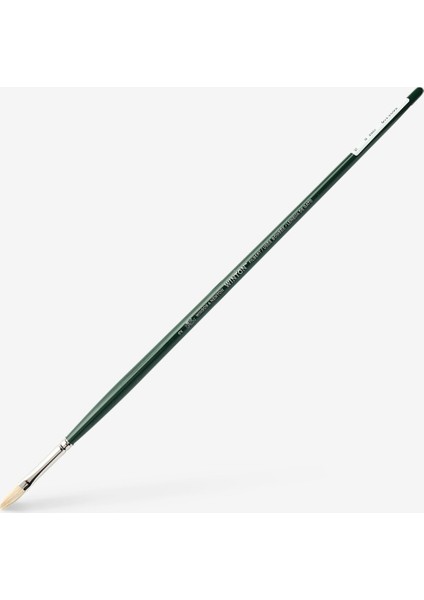 : Winton : Uzun Sap Kedi Dili Fırça No : 2