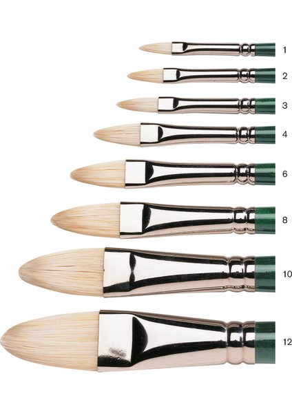 : Winton : Uzun Sap Kedi Dili Fırça No : 12 modelleri