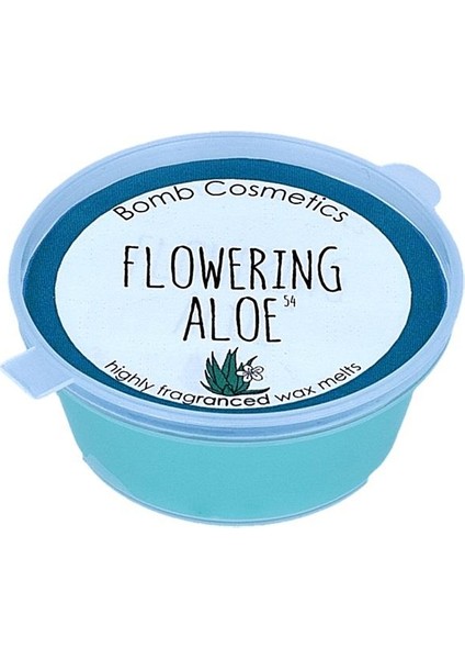 Flowering Aloe Mini Melt Oda Kokusu