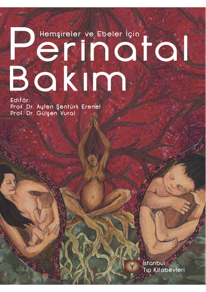 Hemşireler ve Ebeler Için Perinatal Bakım