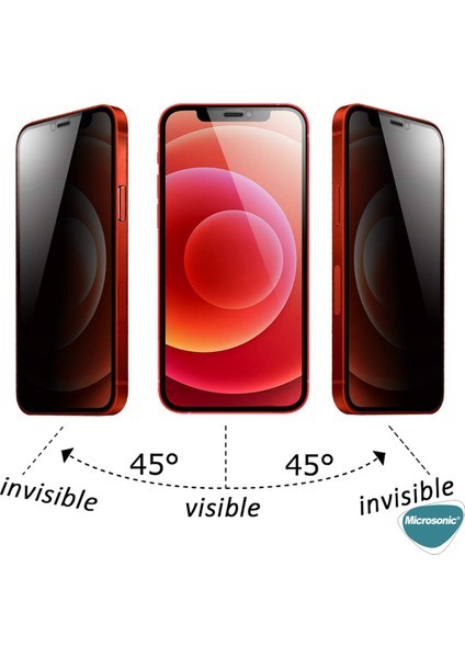 Apple iPhone 12 Mini Privacy 5D Gizlilik Filtreli Cam Ekran Koruyucu Siyah fiyatları