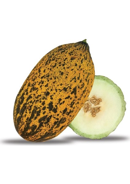 Kavun Tohumu Kırkağaç Tipi (Uzun-Benekli) 10 gr fiyatları