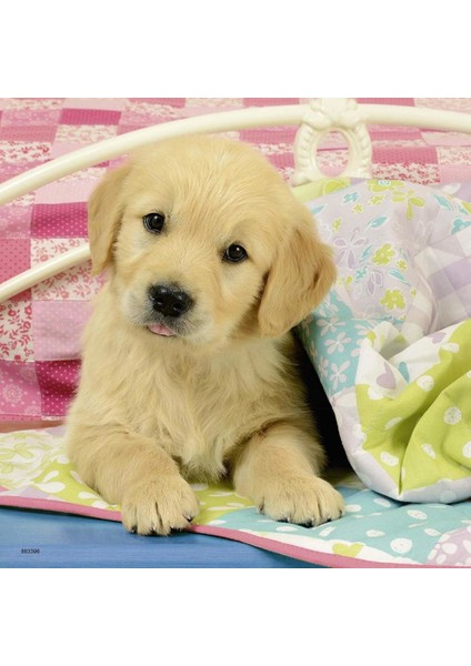 49 Parça Puzzle Puppies 3'lü