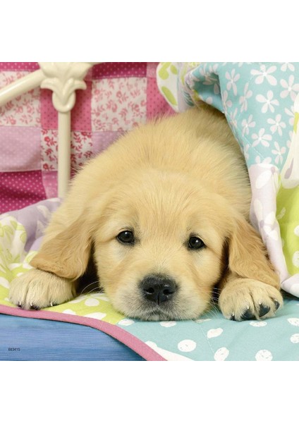 49 Parça Puzzle Puppies 3'lü