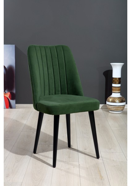 Soho Polo Sandalye - 11 Renk - Ahşap Ayak